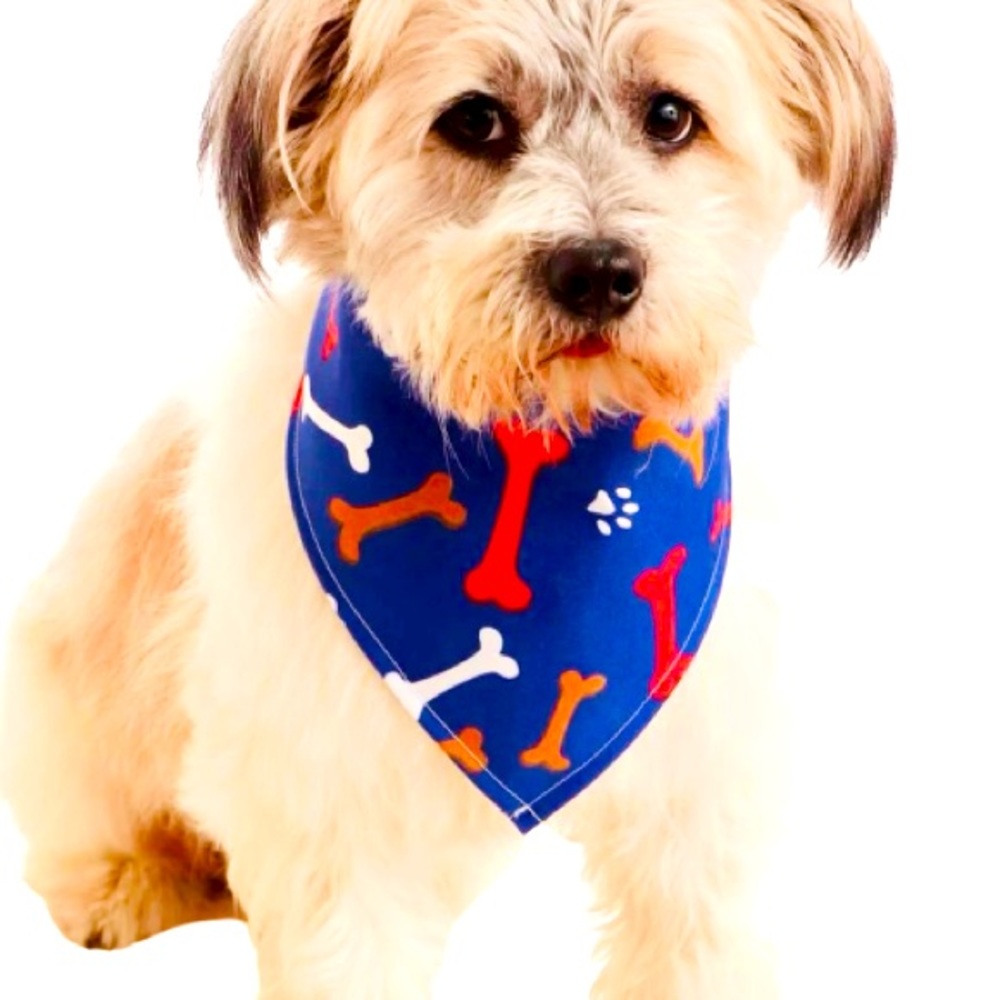 NWT Adorable Bones Print, Dog Bandanna!